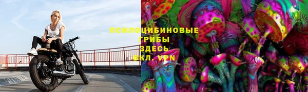 прущие грибы Покров