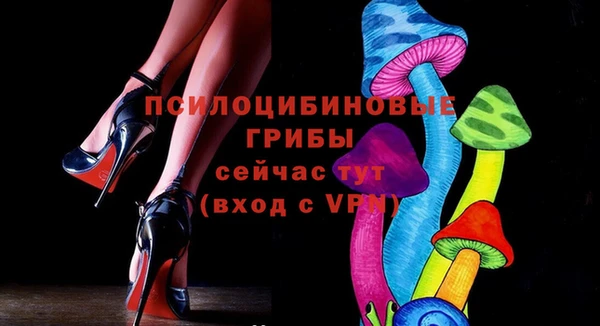 прущие грибы Покров