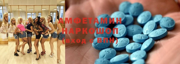 прущие грибы Покров