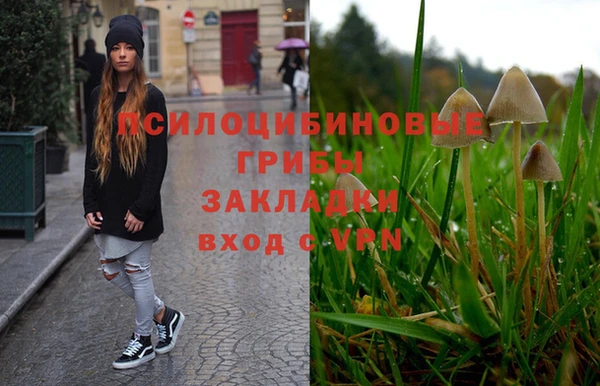 трава Покачи