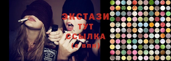 мдпв Галич
