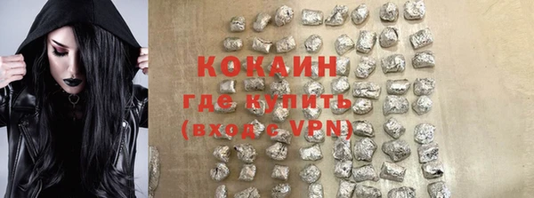 прущие грибы Покров
