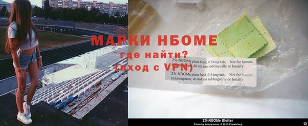 прущие грибы Покров