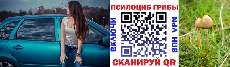 Галлюциногенные грибы прущие грибы Бакал